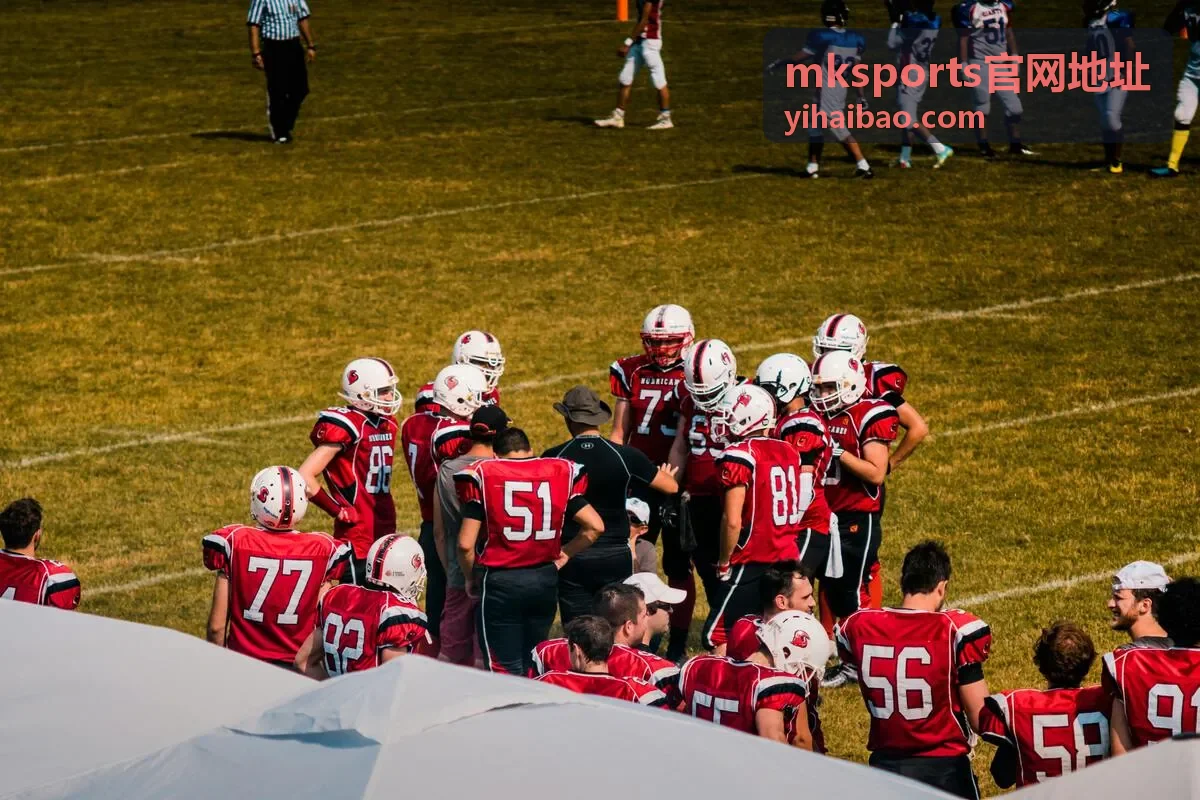 mksports官网地址客户端安装包下载与文件校验示意