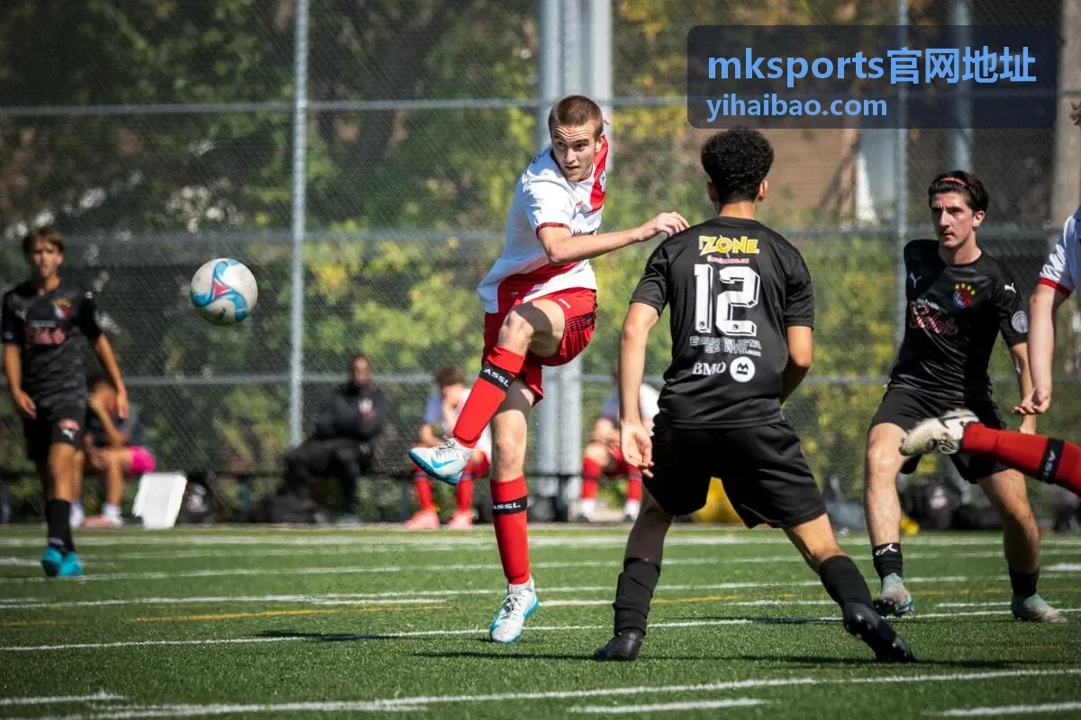 mksports官网地址账号注册登录说明配图