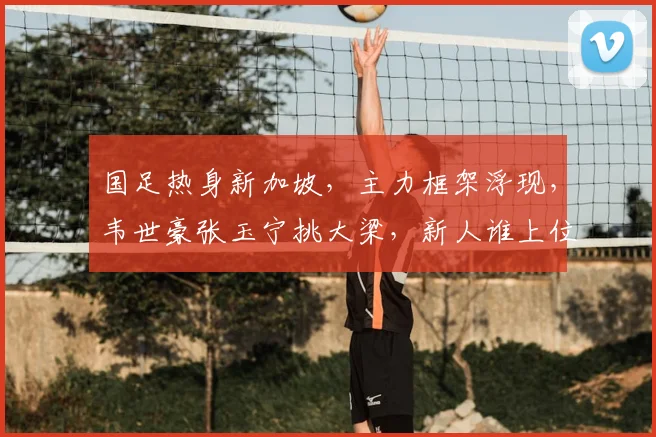 国足热身新加坡，主力框架浮现，韦世豪张玉宁挑大梁，新人谁上位