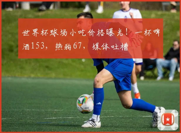 世界杯球场小吃价格曝光!一杯啤酒153,热狗67,媒体吐槽