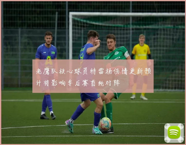 老鹰队核心球员特雷杨伤情更新预计将影响季后赛首轮对阵