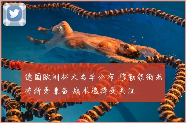 德国欧洲杯大名单公布 穆勒领衔老将新秀兼备 战术选择受关注